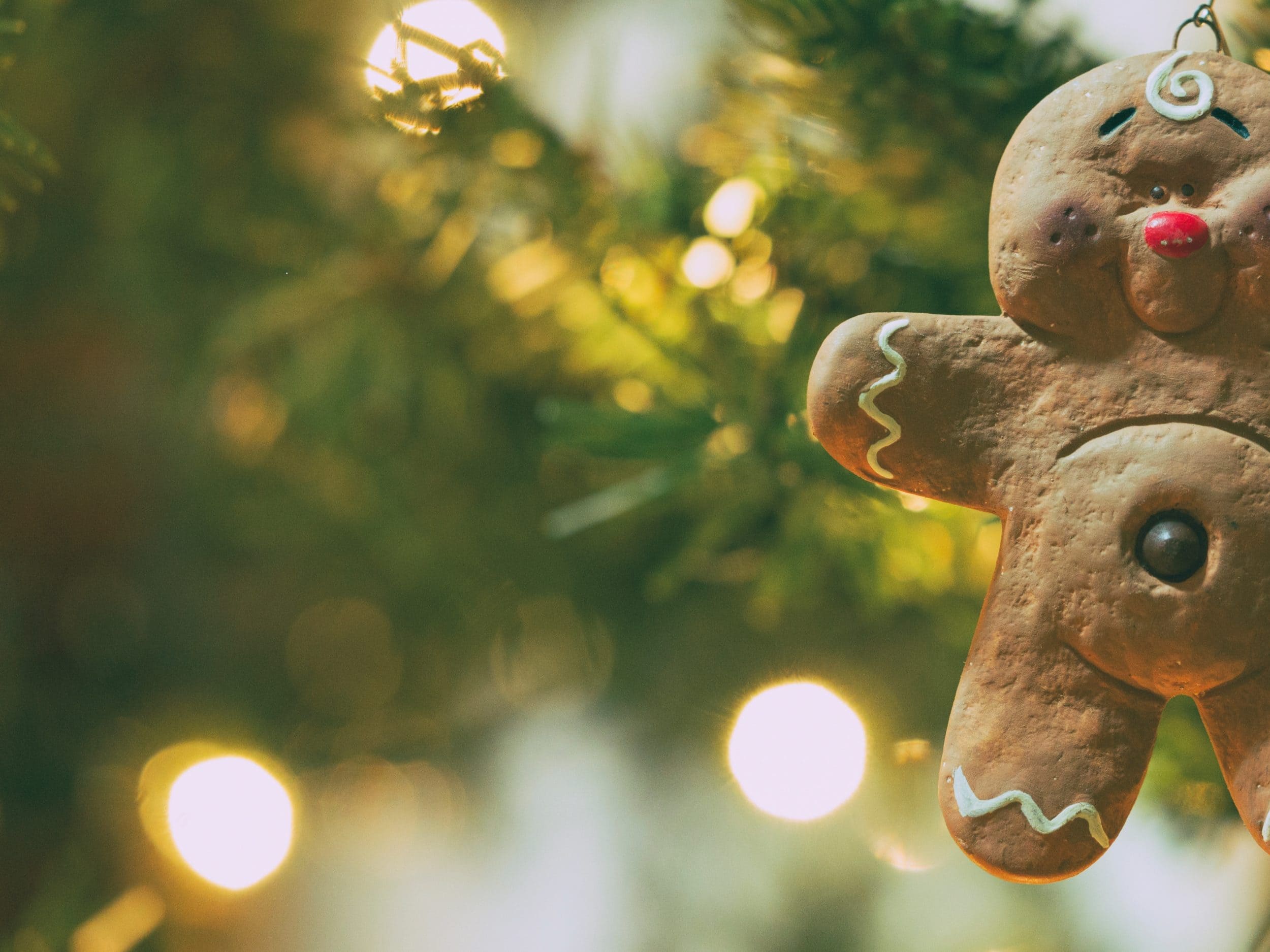 gingerbread man hanging on holiday tree