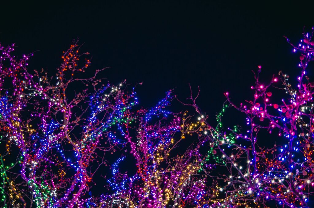 10 Seasonal Activities Seniors Will Love