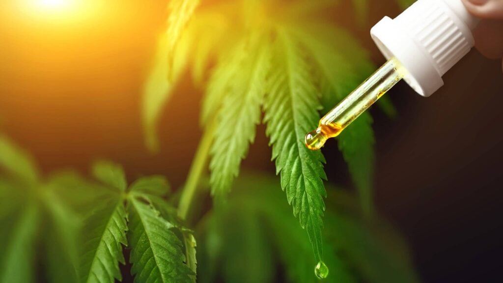 cbd benefits seniors